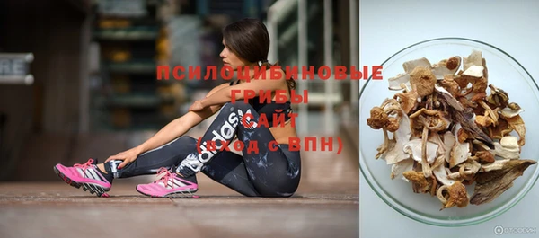 круглые Алзамай