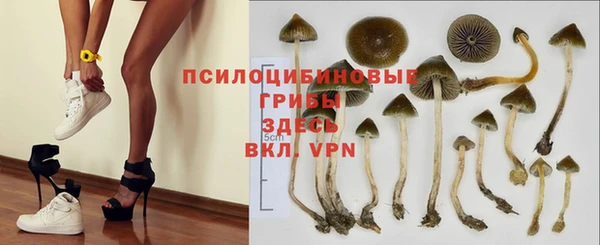 мяу мяу мука Армянск