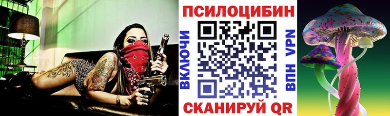 Псилоцибиновые грибы прущие грибы Бодайбо