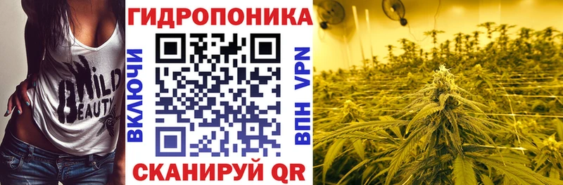 Конопля Amnesia Бодайбо